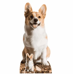 Corgi Lifesize Cardboard Cutout 76cm – Next Day Delivery