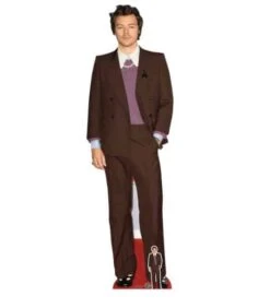Harry Styles Cardboard Cutout – 183cm