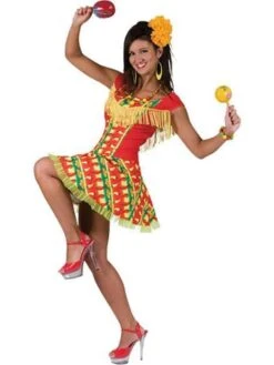 Mexican Lady Dress Adult Costume (Size 10-12)