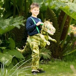 Ride On Dinosaur – Child Costume 6 – 8 Years