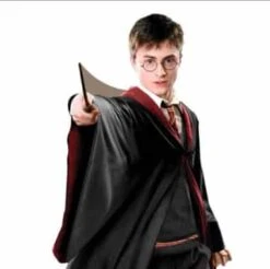 Harry Potter Quidditch Captain Lifesize Cardboard Cutout – 170cm
