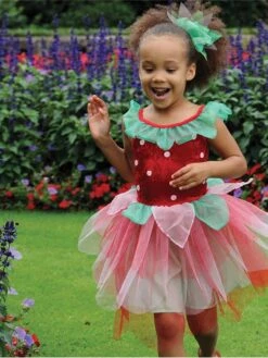 Strawberry Child Costume – Age 2-3 Years